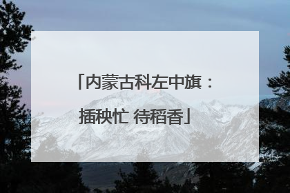 内蒙古科左中旗：插秧忙 待稻香